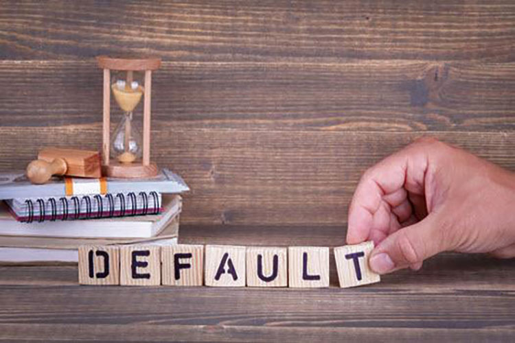 یسک اعتباری یا ریسک نکول